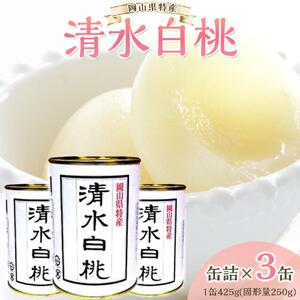角南製造所　清水 白 桃 缶詰 3缶セット | 桃