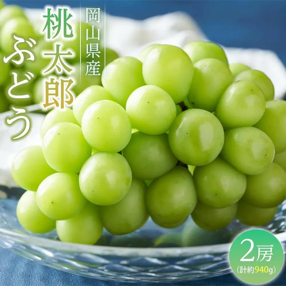 ぶどう 2026年  桃太郎 ぶどう 2房 （合計約940g）葡萄  岡山県産 フルーツ 果物 ギフト