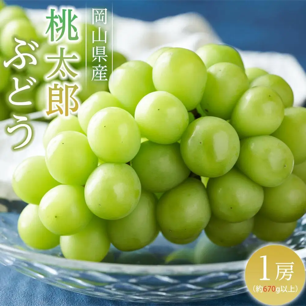 ぶどう 2026年  桃太郎 ぶどう 1房（1房670g以上） 葡萄  岡山県産 フルーツ 果物 ギフト