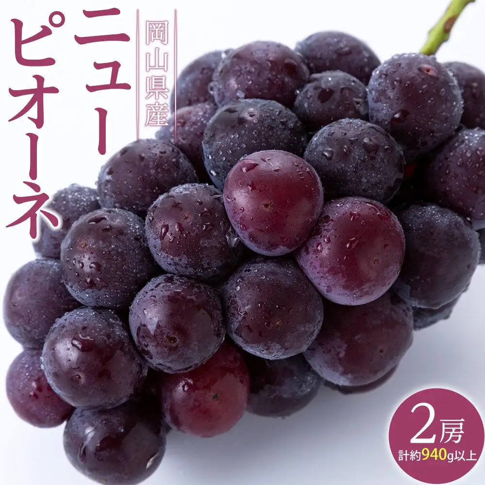 ぶどう 2026年  ニュー ピオーネ 2房（合計約940g） 葡萄  岡山県産 フルーツ 果物 ギフト | ピオーネ