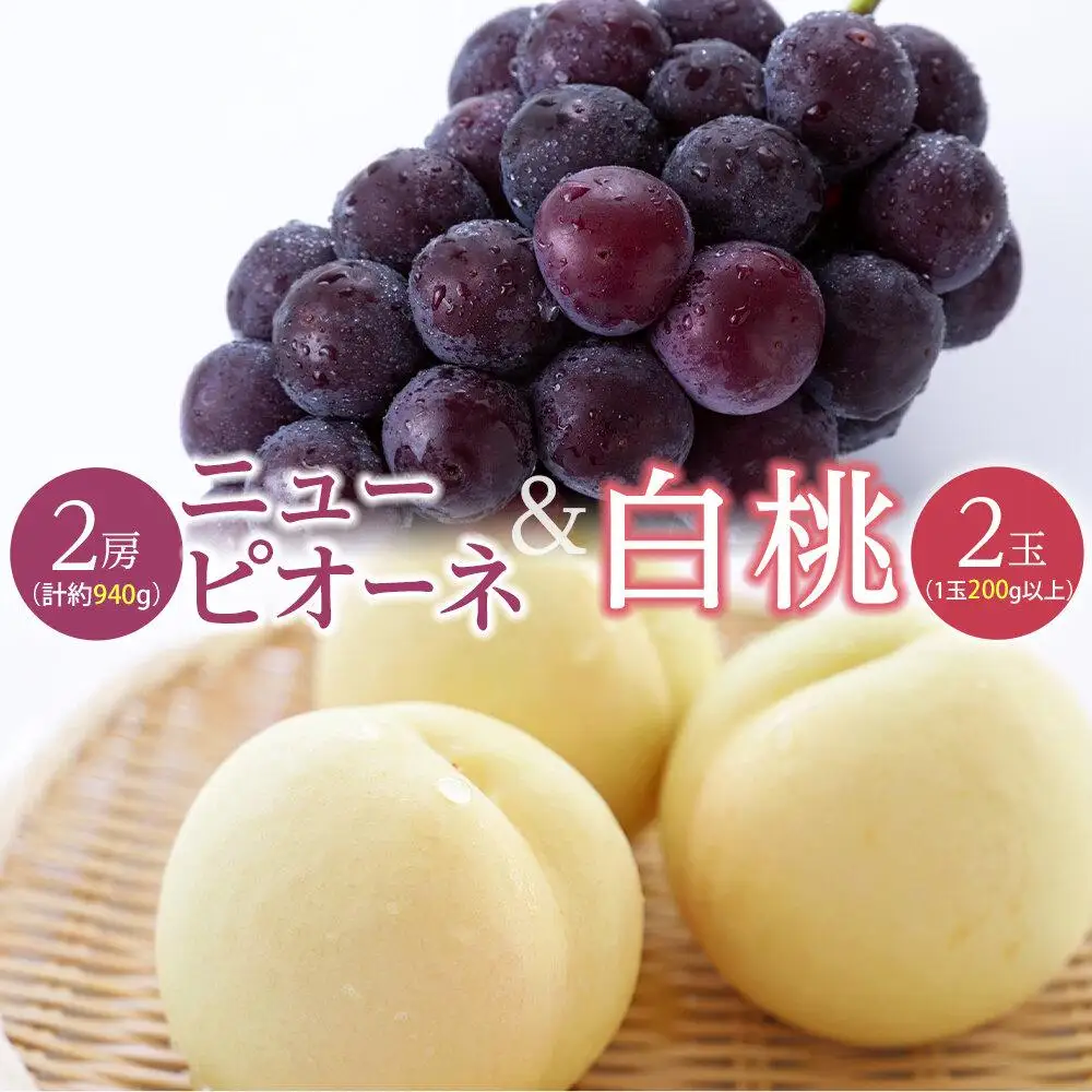 桃 ぶどう 2026年  白 桃 2玉（1玉200g以上） ニュー ピオーネ 2房（合計約940g）詰合せ もも 葡萄 岡山県産 フルーツ 果物 ギフト