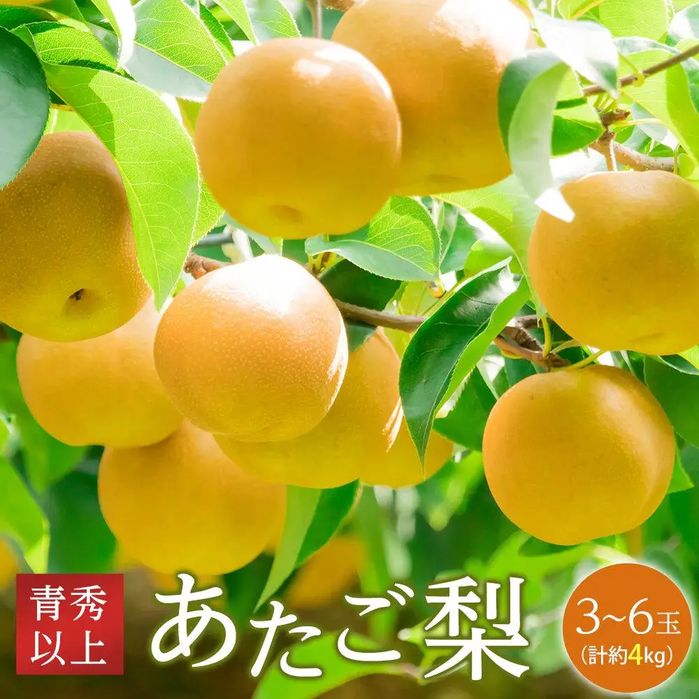 梨 2026年  あたご 梨 青秀クラス以上 3～6玉 約4kg  なし 岡山県産 フルーツ 果物 ギフト
