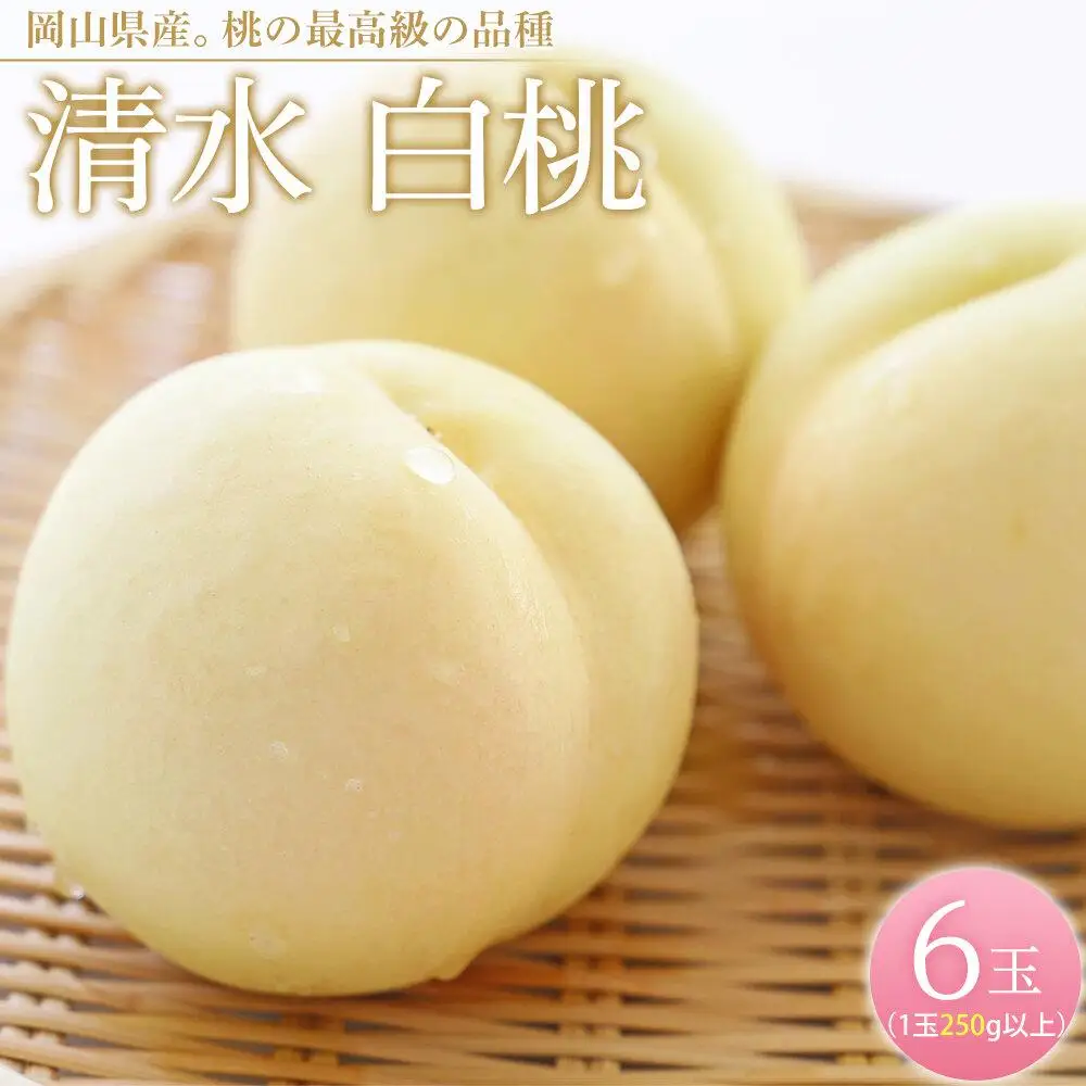 桃 2026年  清水 白 桃 6玉（1玉250g以上） もも 岡山県産 フルーツ 果物 ギフト