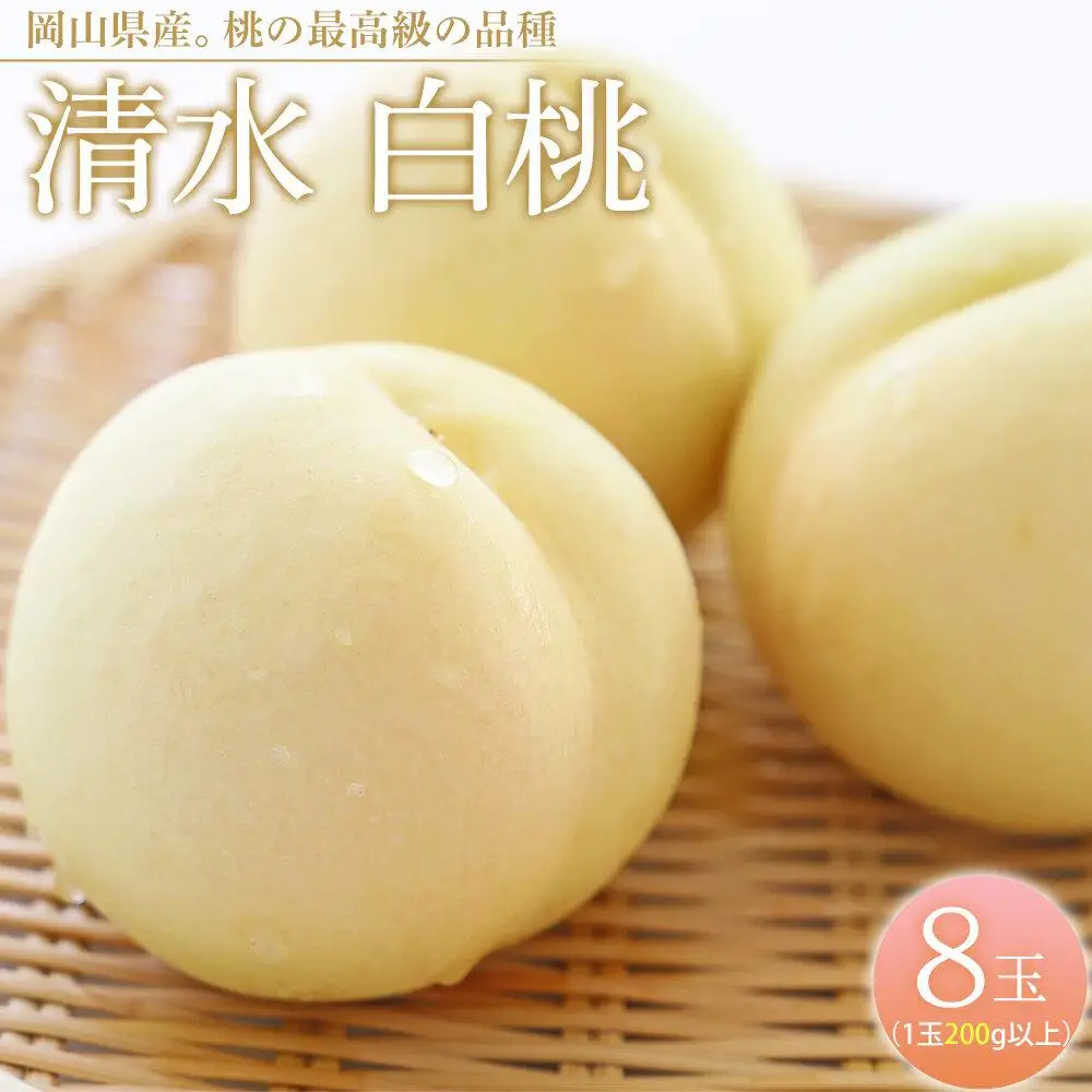 桃 2026年  清水 白 桃 8玉（1玉200g以上） もも 岡山県産 フルーツ 果物 ギフト