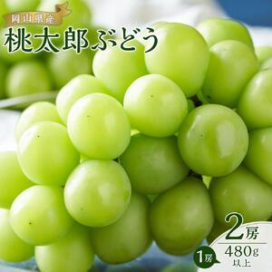 ぶどう 2026年  桃太郎 ぶどう 2房（1房480g以上） ブドウ 葡萄  岡山県産 国産 フルーツ 果物 ギフト