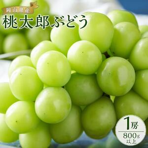 ぶどう 2026年  桃太郎 ぶどう 1房800g以上 ブドウ 葡萄  岡山県産 国産 フルーツ 果物 ギフト