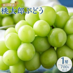 ぶどう 2026年  桃太郎 ぶどう 1房700g以上 ブドウ 葡萄  岡山県産 国産 フルーツ 果物 ギフト