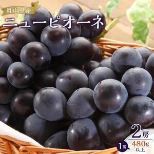 ぶどう 2026年  ニュー ピオーネ 2房（1房480g以上）約1kg ブドウ 葡萄  岡山県産 国産 フルーツ 果物 ギフト