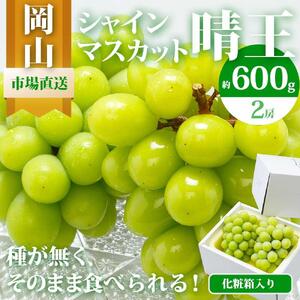 シャインマスカット 晴王 2房（1房 600g以上）化粧箱入り ｜ シャインマスカット