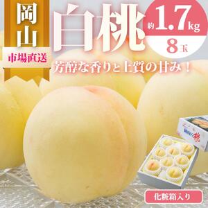 桃 2026年 岡山 白桃 8玉（合計1.7kg以上）化粧箱入り もも モモ 岡山県産 国産 フルーツ 果物 ギフト