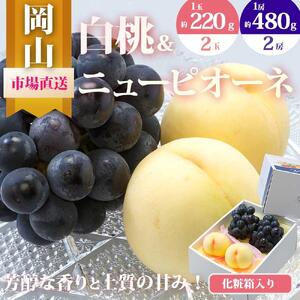 桃 ぶどう 2026年 果物 詰合せ 白桃 2玉（1玉220g以上）ニューピオーネ 2房（1房480g以上）化粧箱入り もも 葡萄 岡山県産 国産 フルーツ 果物 ギフト