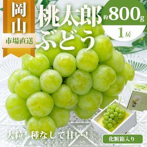 ぶどう 2026年  桃太郎 ぶどう 1房（800g以上）化粧箱入り ブドウ 葡萄  岡山県産 国産 フルーツ 果物 ギフト