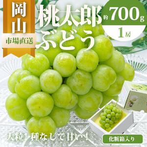 ぶどう 2026年  桃太郎 ぶどう 1房（700g以上）化粧箱入り ブドウ 葡萄  岡山県産 国産 フルーツ 果物 ギフト