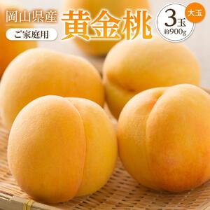 2026年 先行予約 ご家庭用 おかやま の 黄金 桃   大玉 3玉（合計約900g）  ｜ 桃