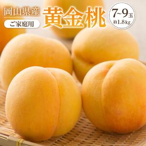 2026年 先行予約 ご家庭用 おかやま の 黄金 桃   約1.8kg（7～9玉）｜ 桃