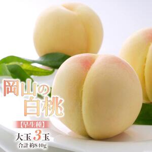 2026年   岡山の 白 桃  大玉3玉 早生種 合計約840g  ｜ 桃