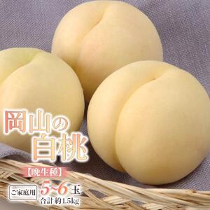 2026年  ご家庭用  白 桃 （晩生種） 5～6玉 合計約1.5kg  ｜  桃