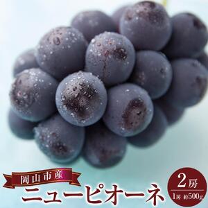 2026年 ニュー ピオーネ  2房（1房約500g） |  ピオーネ