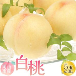 2026年   白 桃   5玉 合計約1.3kg ｜桃