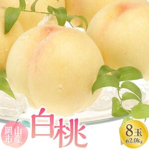 2026年  白 桃   8玉 合計約2.0kg ｜  桃