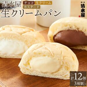 ＜究極のふわとろ食感＞清水屋 生 クリームパン  12個 3種（カスタード・生クリーム・チョコ） | クリームパン