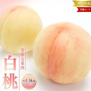 桃 2026年 先行予約 白桃 等級 エース 約1.5kg 5～7玉入り もも モモ 岡山 国産 フルーツ 果物 桃茂実苑