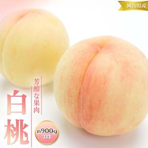 桃 2026年 先行予約 白桃 3玉 合計約900g （1玉約300g） もも モモ 岡山 国産 フルーツ 果物 ギフト 桃茂実苑