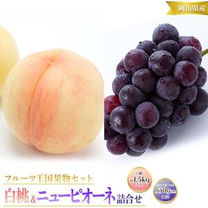 桃 ぶどう 2026年 先行予約 白桃 5玉 合計約1.5kg （1玉 約300g） ニュー ピオーネ 1房 550g もも 葡萄 詰合せ 岡山 国産 フルーツ 果物 ギフト 桃茂実苑