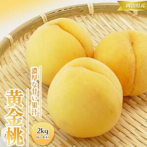 桃 2026年 先行予約 黄金桃 2kg 6～8玉 もも モモ 岡山 国産 フルーツ 果物 ギフト 桃茂実苑