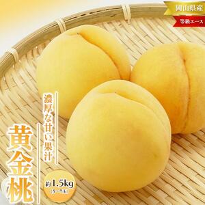 桃 2026年 先行予約 黄金桃 等級 エース 約1.5kg 5～7玉入り もも モモ 岡山 国産 フルーツ 果物 桃茂実苑
