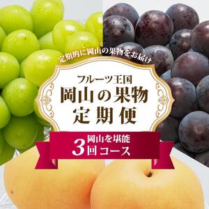 ぶどう 梨 定期便 2026年 フルーツ王国 岡山を堪能 定期便 3回コース 葡萄 ぶどう 梨 なし 岡山県産 国産 果物 セット ギフト