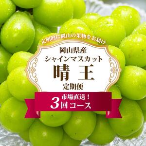 ぶどう 定期便 2026年 シャイン マスカット 晴王 各月2房（1房600g以上） 3回コース マスカット ブドウ 葡萄  岡山県産 国産 フルーツ 果物 ギフト