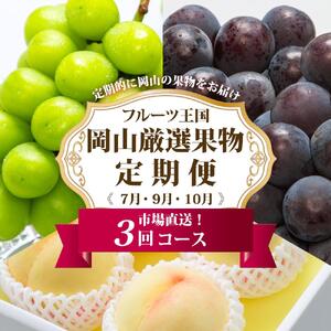 フルーツ 定期便 2026年 フルーツ王国 岡山 厳選 果物 （7月 9月 10月）3回コース 桃 もも 葡萄 ぶどう 岡山県産 国産 セット ギフト