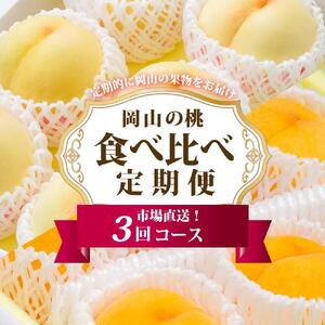 フルーツ 定期便 2026年 岡山 の 桃 食べ比べ 定期便 3回コース もも モモ 岡山県産 国産 フルーツ 果物 セット ギフト