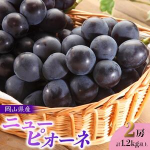 ぶどう 2026年 先行予約 岡山県産 ニューピオーネ 2房 計1.2kg以上＜ジューシーで上品な甘みと高貴な香り＞