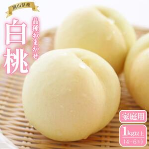 桃 2026年  岡山県産 家庭用 白桃 1kg以上（4～6玉） 品種おまかせ＜6月下旬以降発送＞