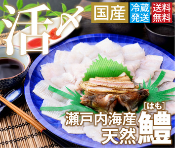 鱧骨切りしゃぶしゃぶ用（2人前）【予約受付中！令和8年7月頃より！天然物につき捕れ次第発送！】【A-4】