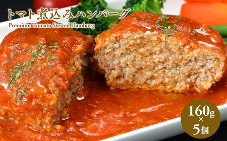 【レビューキャンペーン】トマト煮込みハンバーグ160g×5 【平川市産原料使用】　【 加工品 惣菜 冷凍 洋食 夕飯 お弁当 おかず 】[hi-0029-001]