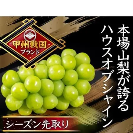 【唯一無二の逸品】ココだけしか味わえない幻のハウスオブシャインマスカット2026年6月下旬より発送【配送不可地域：離島】【1494998】