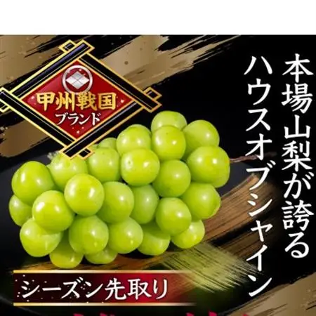 【本場山梨の旬を堪能】今逃せば1年待ちの幻のハウスオブシャインマスカット2026年6月中旬発送【配送不可地域：離島】【1495008】