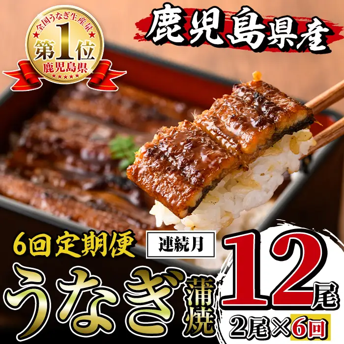 i938-A ＜定期便・計6回(連続月)＞鹿児島県産うなぎ蒲焼2尾セット＜(約140g×2・計約280g)×全6回＞定期便 うなぎ 鰻 ウナギ 2尾 蒲焼き 国産 鹿児島県産 焼きたて 生産量日本一 真空パック おかず 晩御飯 特別な日 土用の丑の日【薩摩川内鰻】