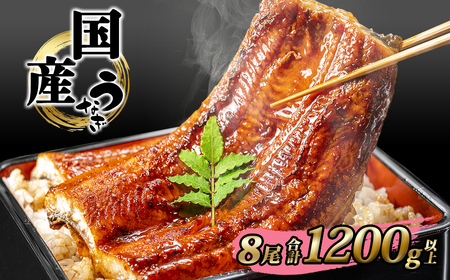 国産 うなぎ 蒲焼き 8尾 1,200g以上 うなぎ K2393