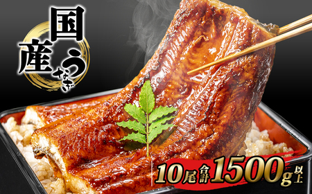 国産 うなぎ 蒲焼き 10尾 1,500g以上 うなぎ K2394