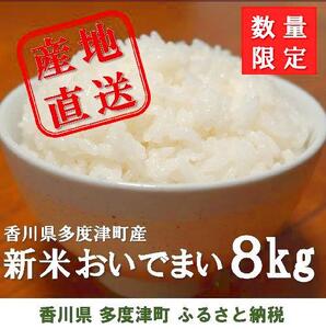 多度津町産 新米 おいでまい【令和7年産新米:11月頃より発送】（白米８kg）【A-11】