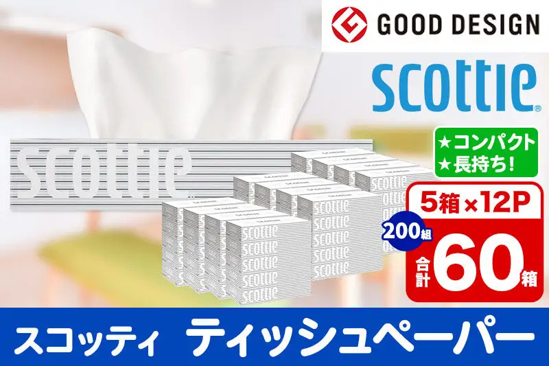 ティッシュペーパー スコッティ 200組 60箱(5箱×12パック) ティッシュ 日用品