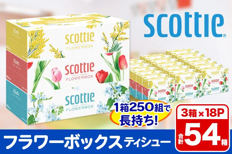 ティッシュペーパー スコッティ フラワーボックス250組 54箱(3箱×18パック) 日用品