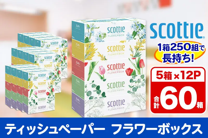 ティッシュペーパー スコッティ フラワーボックス250組 60箱(5箱×12パック) ティッシュ 日用品 