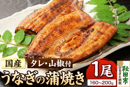 うなぎ うなぎ蒲焼き 160～200g× 1尾 (タレ・山椒付き) 仕出しのせきや 鰻 土用の丑の日 国産