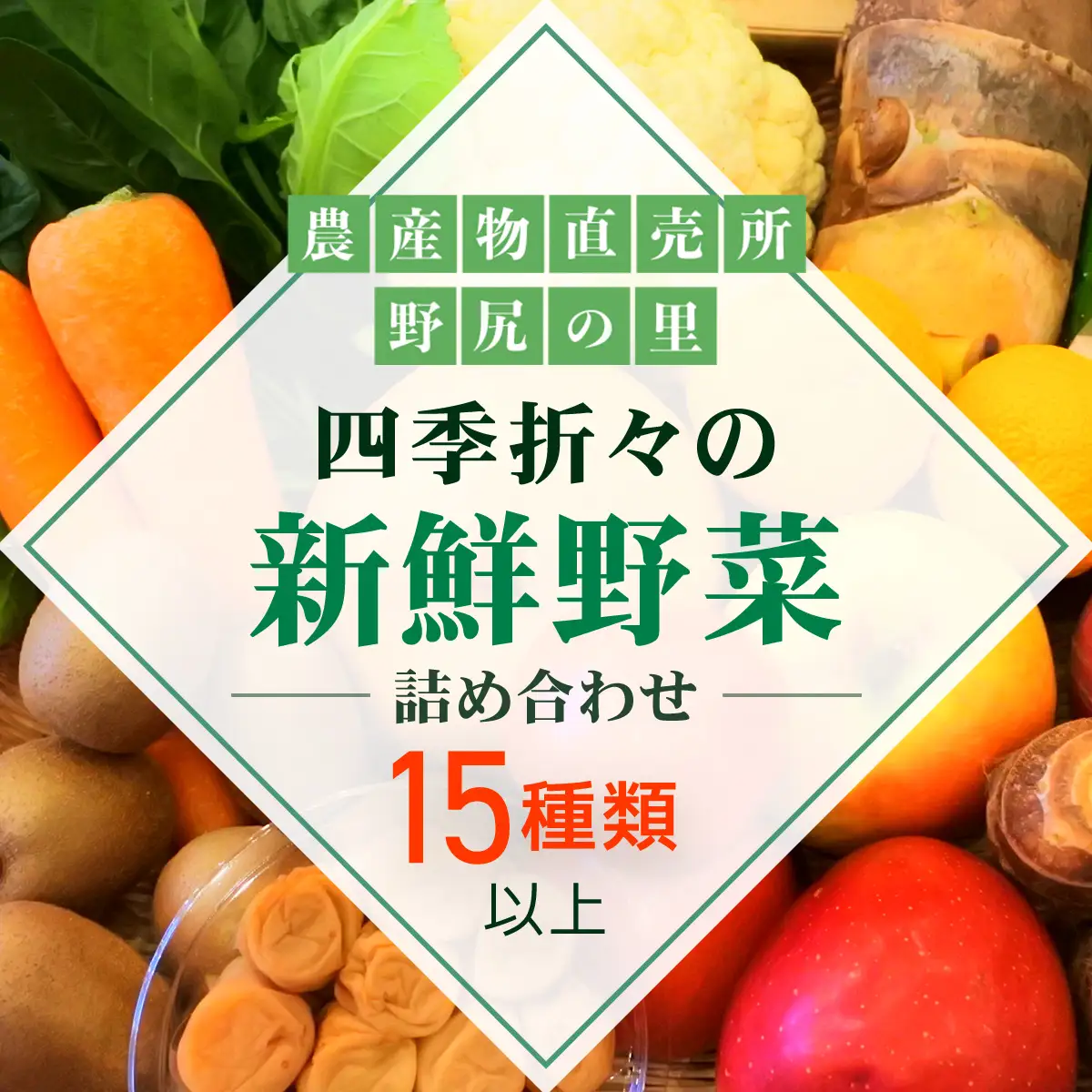 四季折々の新鮮野菜詰め合わせ 旬をお届け! 【15種類以上】 ANAR008