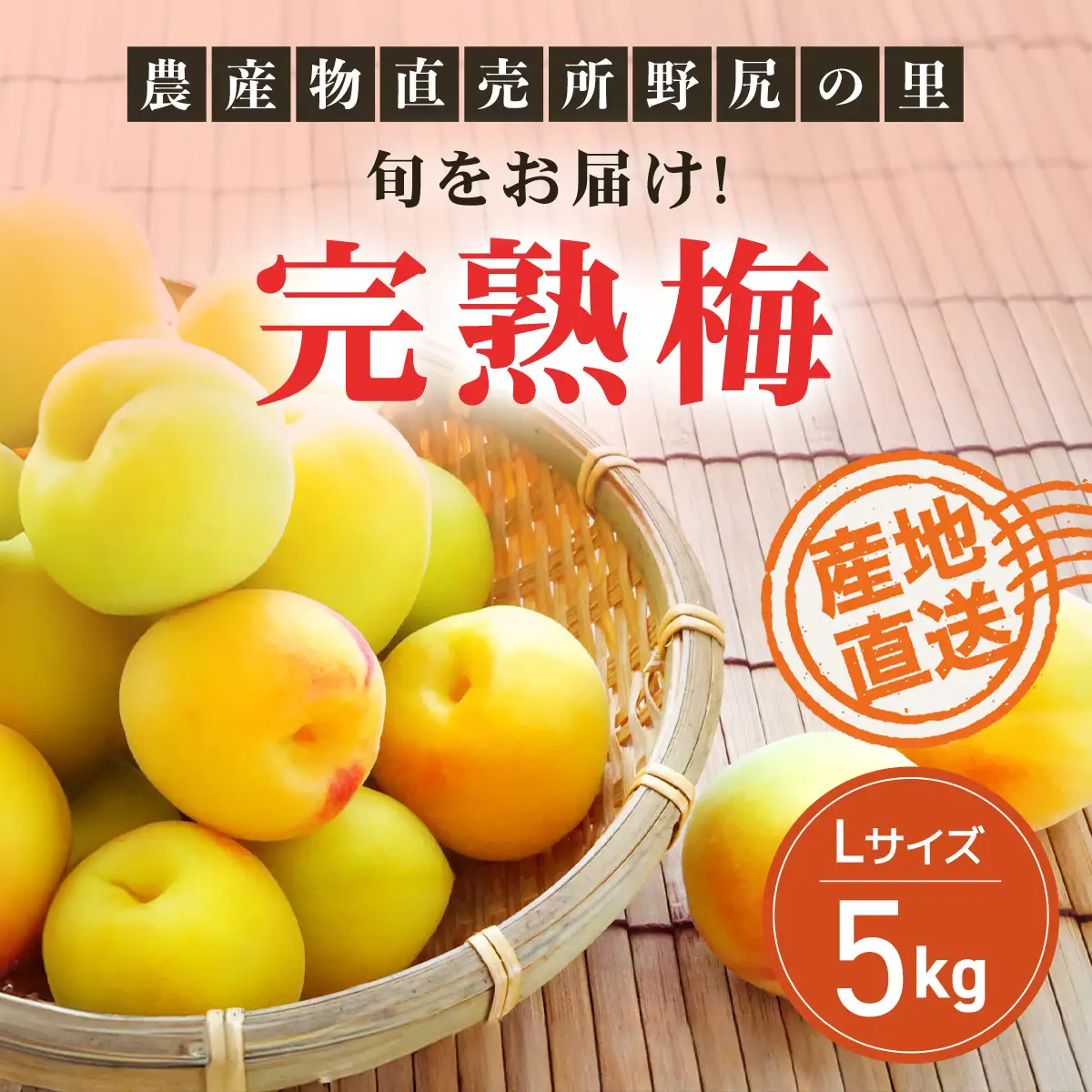 【2026年発送分先行予約】旬をお届け!完熟梅【Lサイズ5kg】 ANAR013